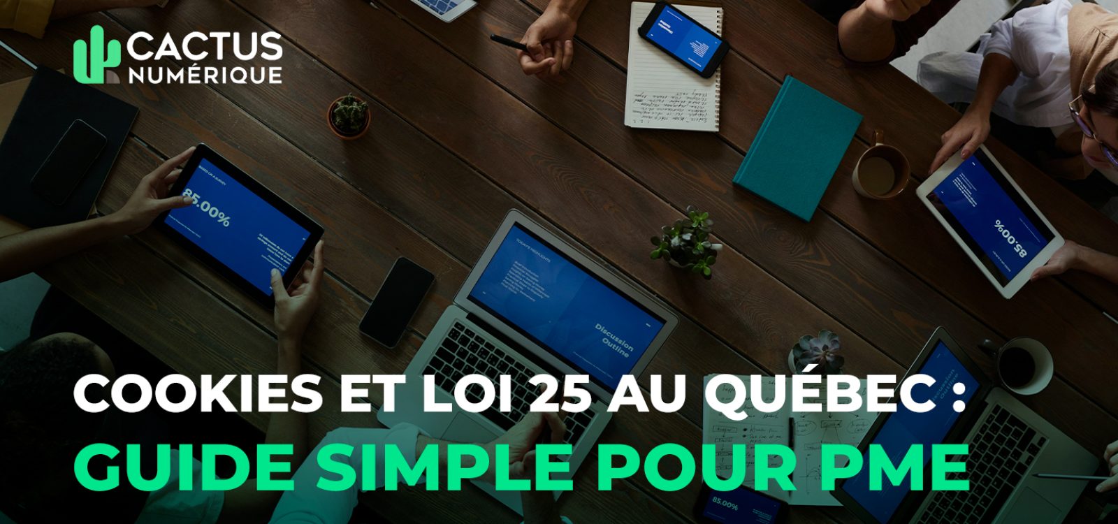 blog-cactus-fevrier26-1536x864